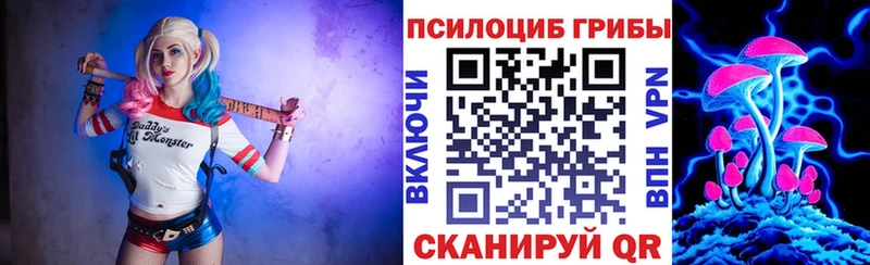 гидра ССЫЛКА  Карасук  Галлюциногенные грибы прущие грибы  купить наркоту 