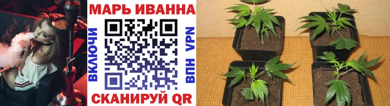Канабис White Widow Карасук